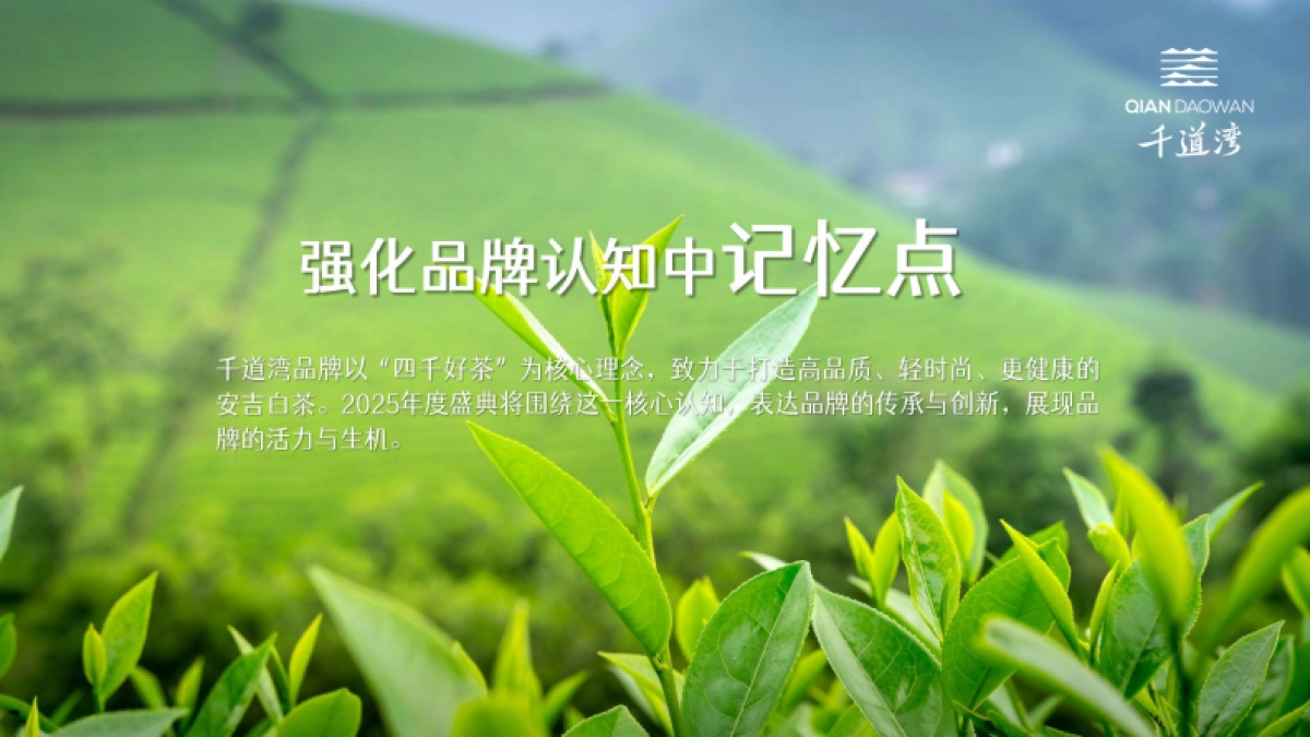 白茶品牌茶叶新品发布会活动策划案_第4页