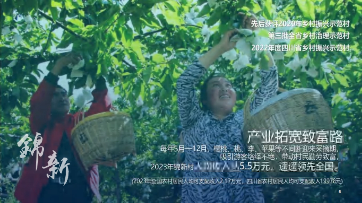 锦新和美村水果种植产业乡村振兴策划规划运营方案_第7页