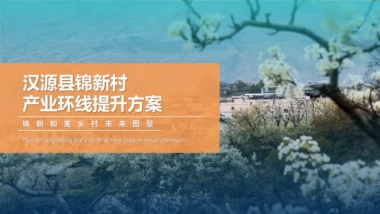 锦新和美村水果种植产业乡村振兴策划规划运营方案