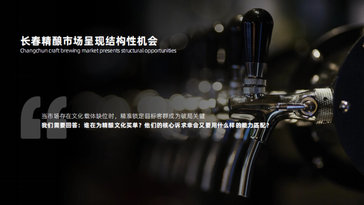 幸会啤酒品牌升级方案_第10页