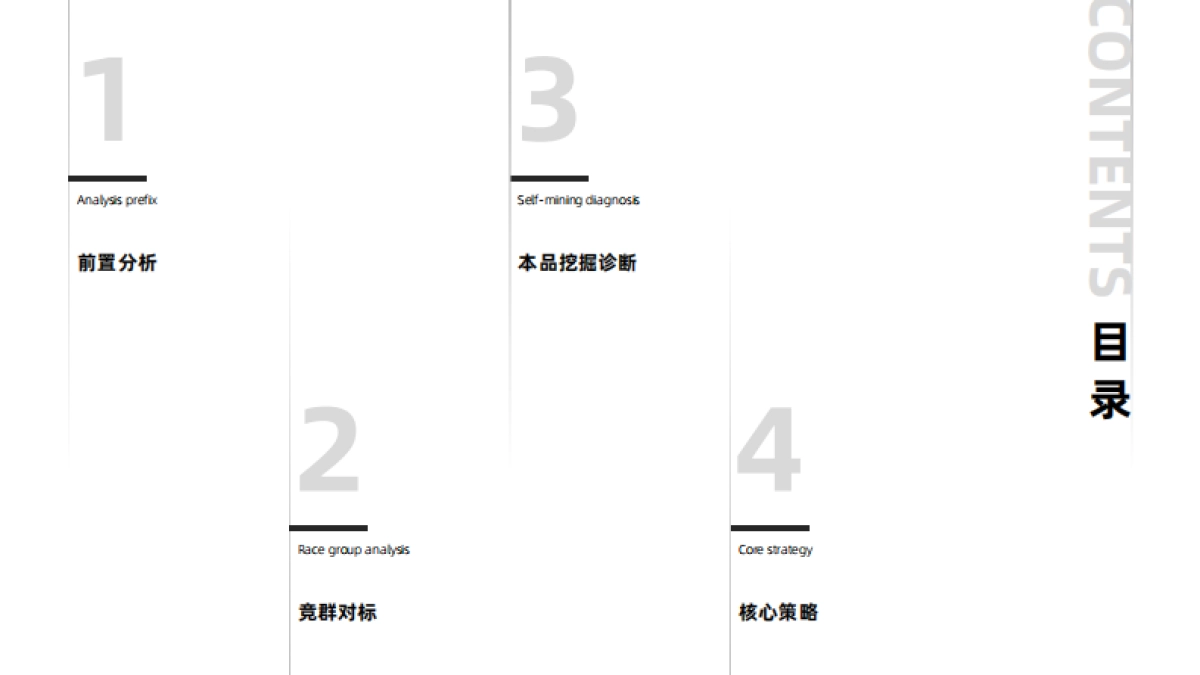 幸会啤酒品牌升级方案_第2页