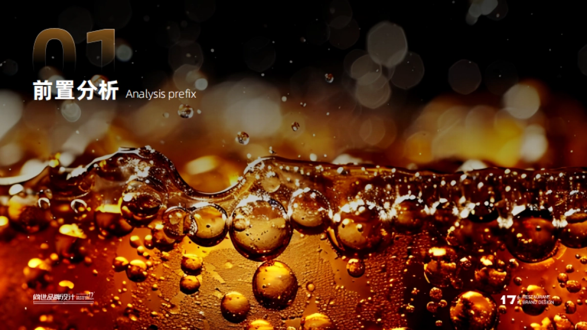 幸会啤酒品牌升级方案_第3页