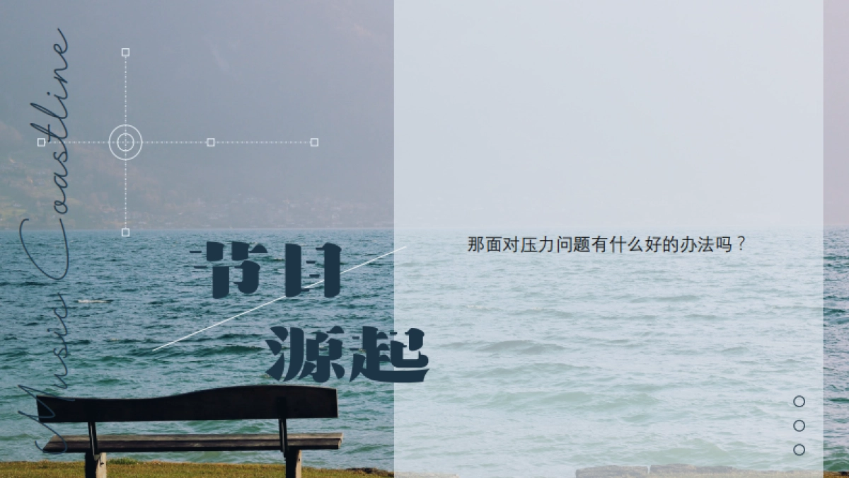 《音乐海岸线》节目策划方案_第3页