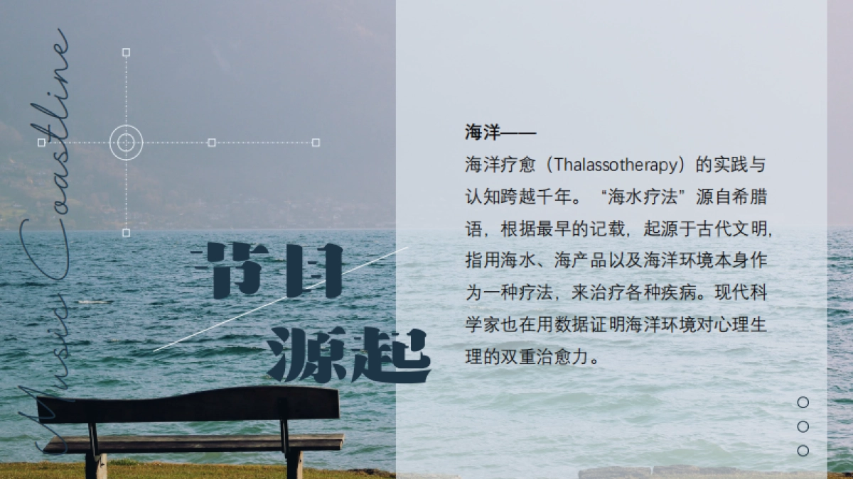 《音乐海岸线》节目策划方案_第4页