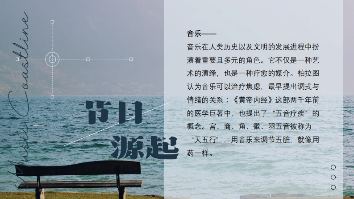 《音乐海岸线》节目策划方案_第5页