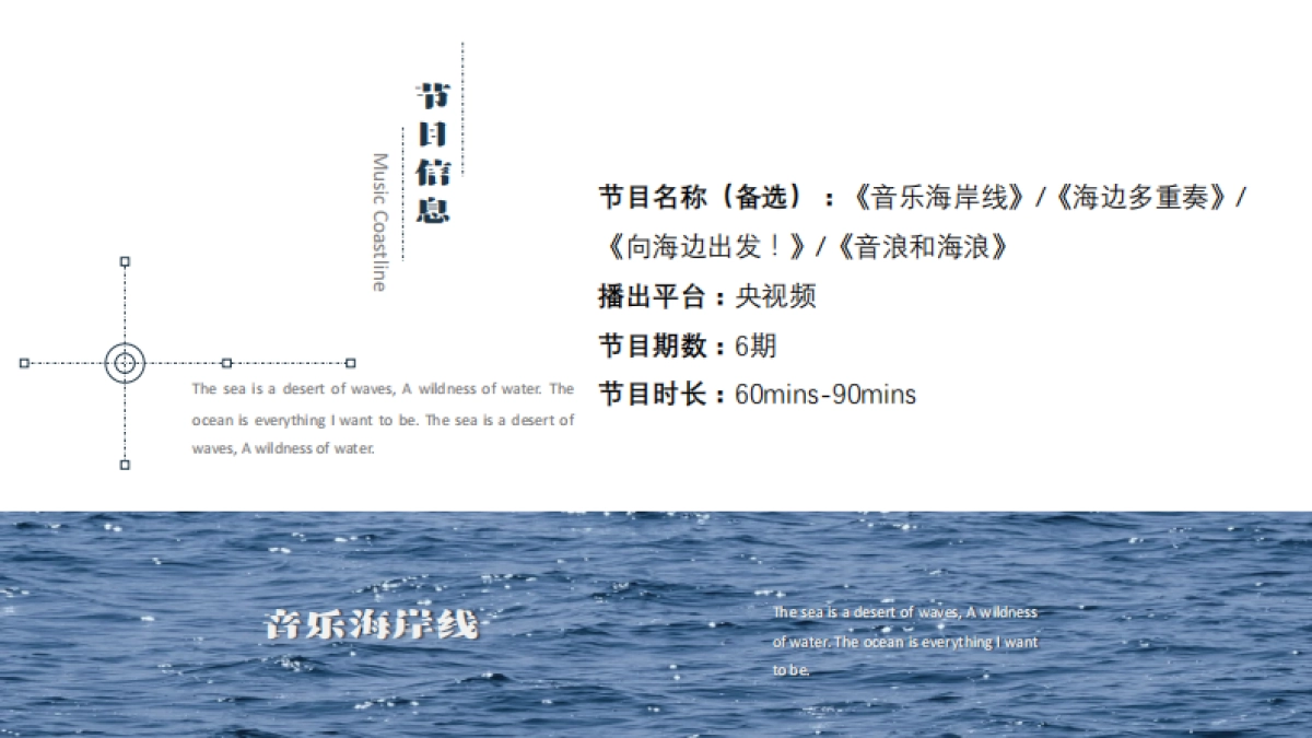 《音乐海岸线》节目策划方案_第8页