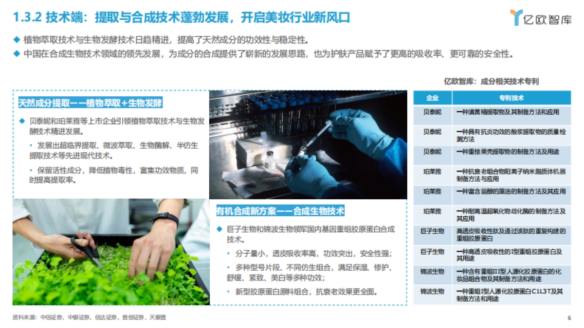 2023中国功效型护肤产品成分解析研究报告_第6页