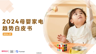 2024母婴家电趋势白皮书-Flywheel
