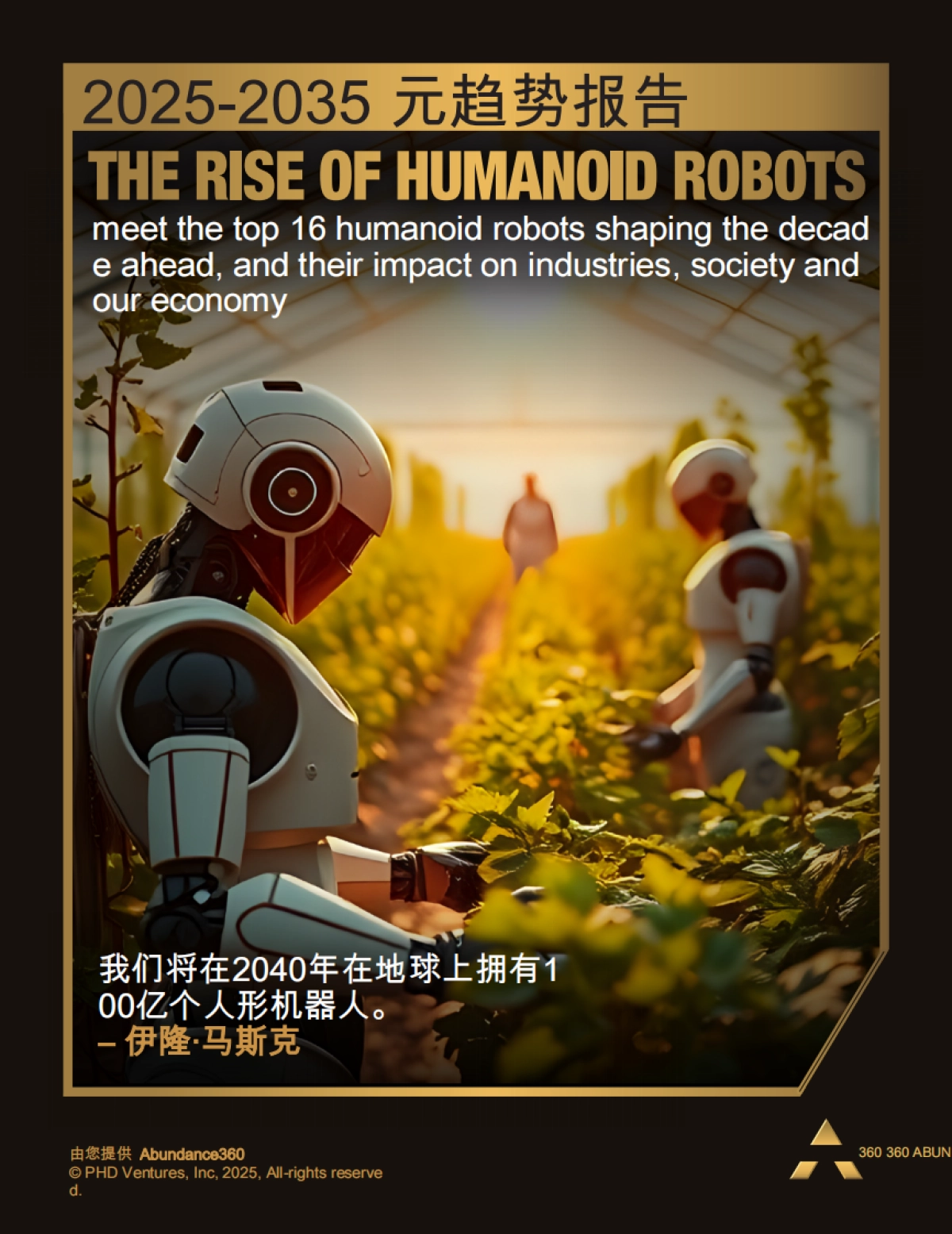 2025-2035年人形机器人发展趋势报告_第1页