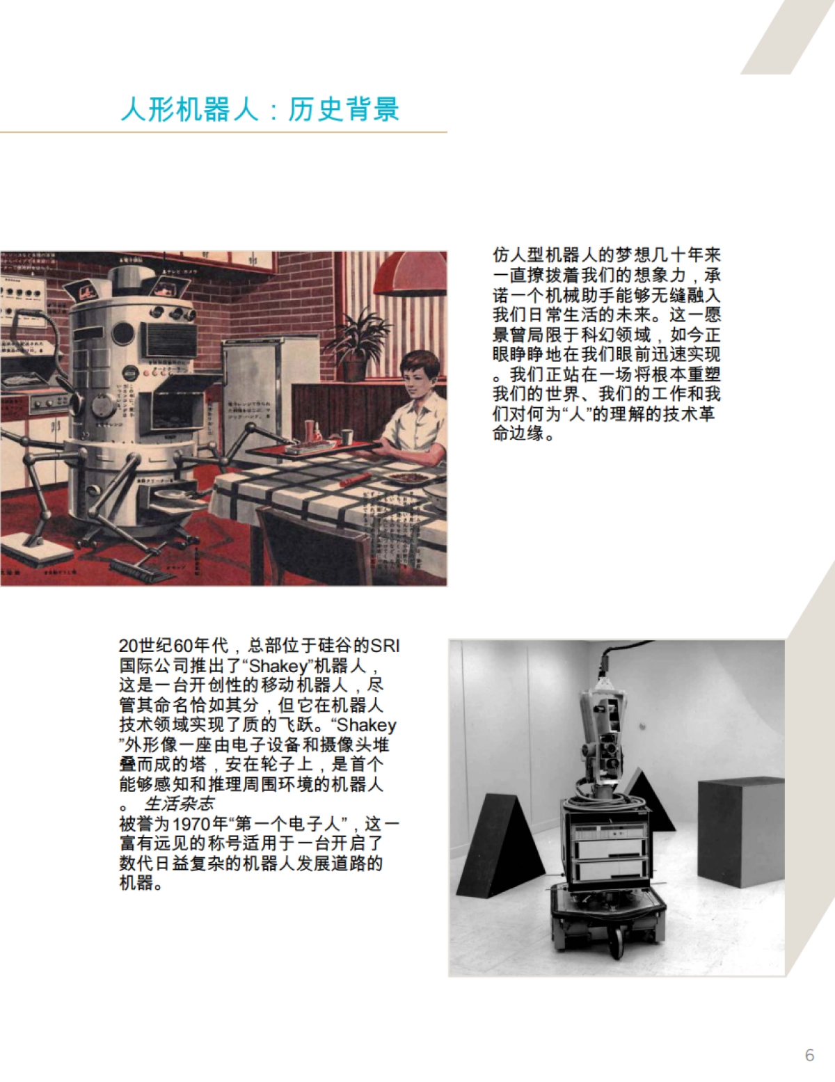 2025-2035年人形机器人发展趋势报告_第8页