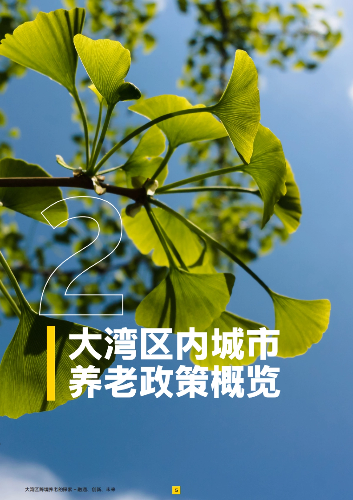 2025年大湾区跨境养老的探索——融通、创新、未来报告_第6页