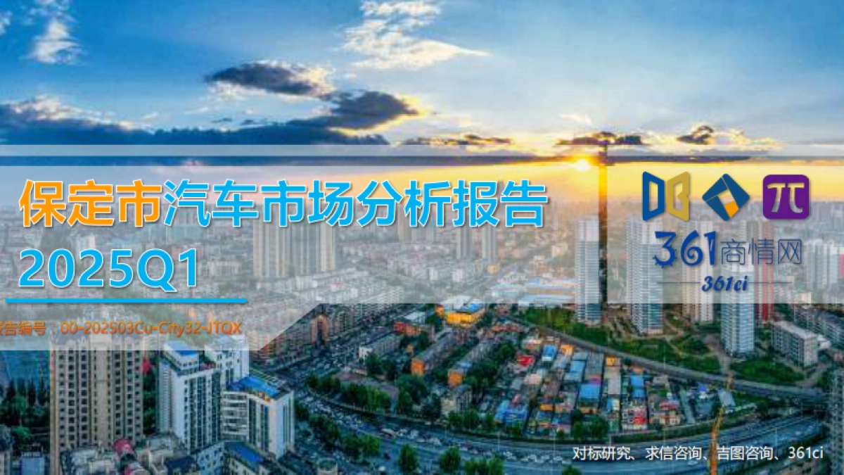 2025年一季度保定市汽车市场分析报告_第1页