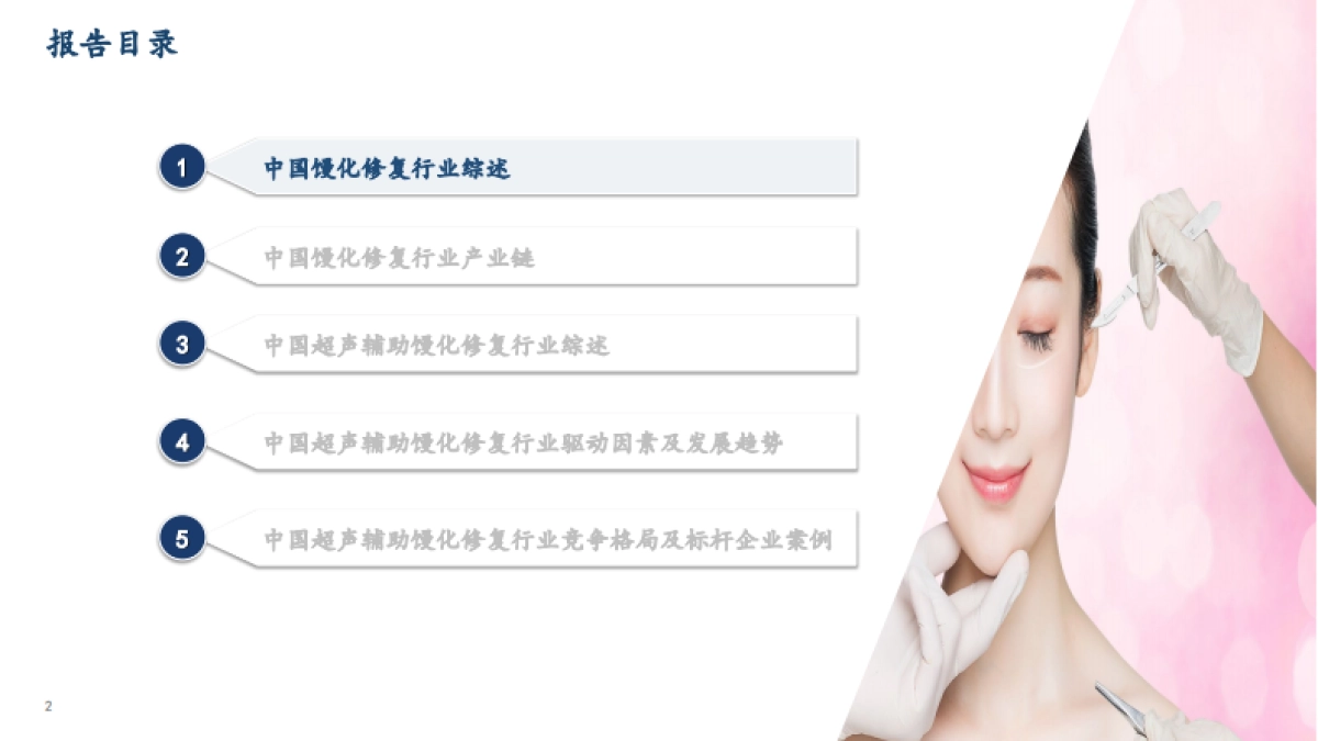 2025年中国超声辅助馒化修复行业白皮书_第2页