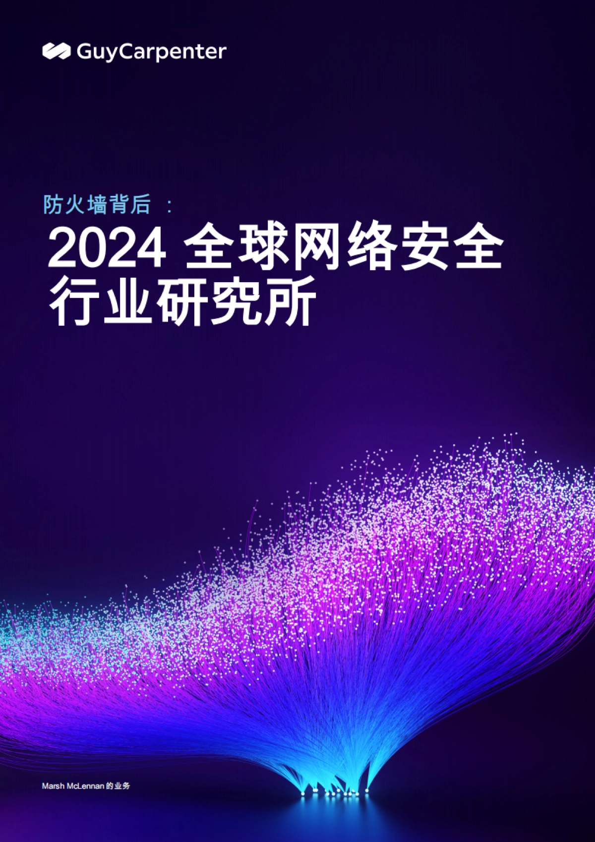防火墙背后:2024全球网络安全行业研究所_第1页