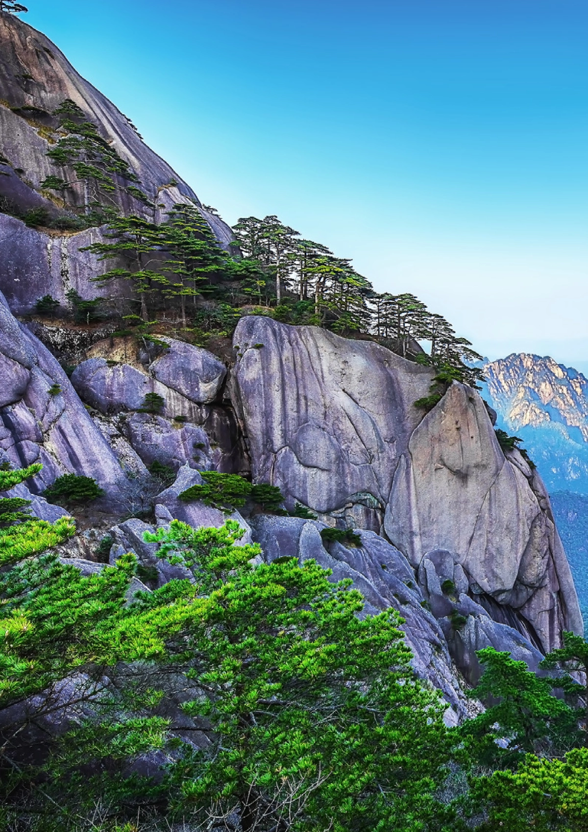 中国上市银行2024年回顾及未来展望-安永_第2页