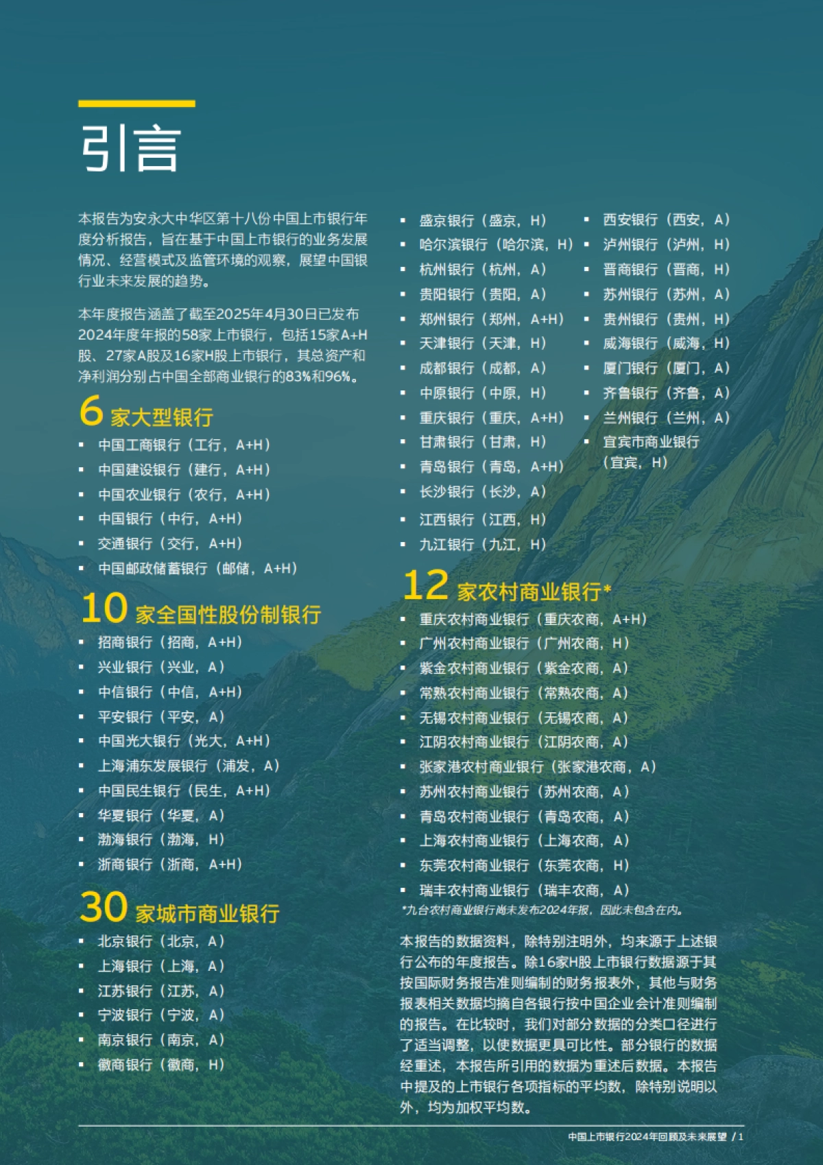 中国上市银行2024年回顾及未来展望-安永_第3页