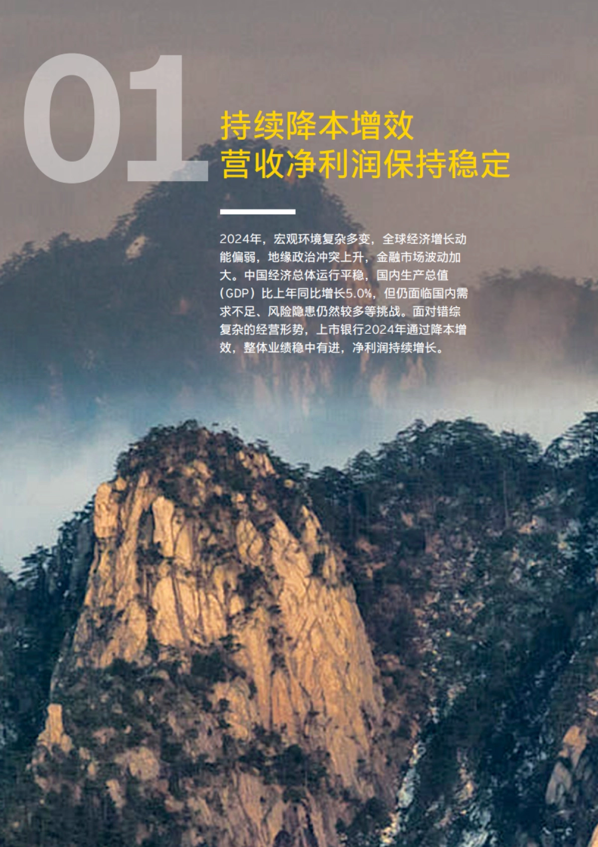 中国上市银行2024年回顾及未来展望-安永_第8页