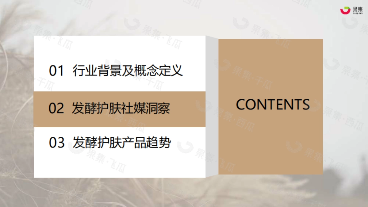 2023年H1发酵护肤市场洞察（小红书、抖音）_第10页