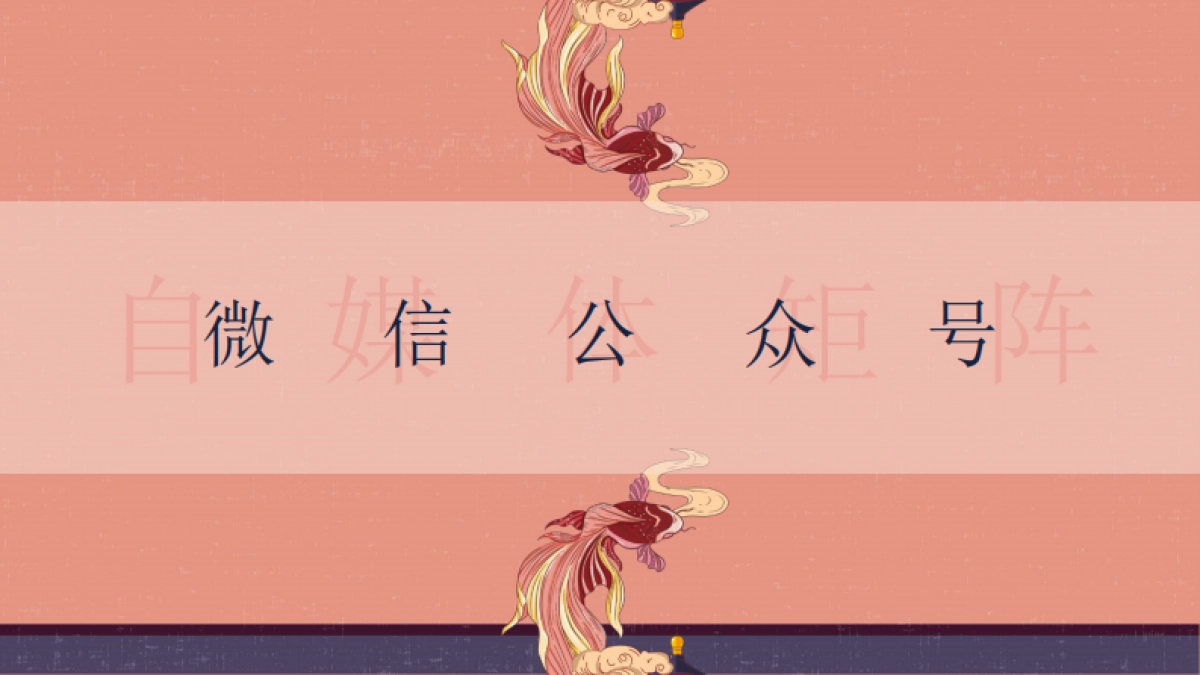 中国紫檀博物馆横琴分馆品牌宣传规划方案_第9页