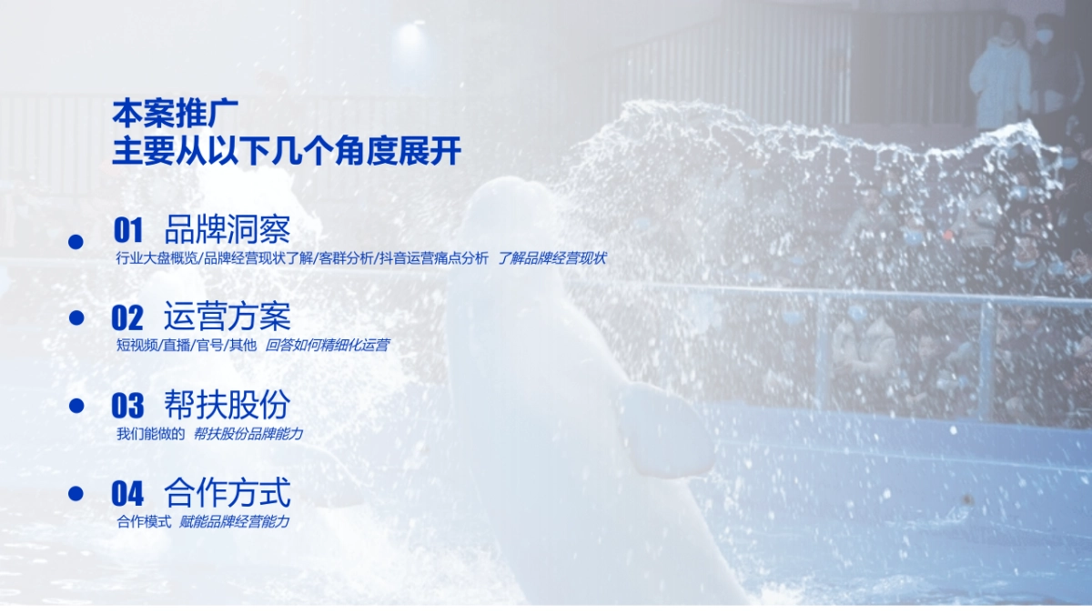 城市水族馆冰雪海洋世界抖音运营策划方案_第2页