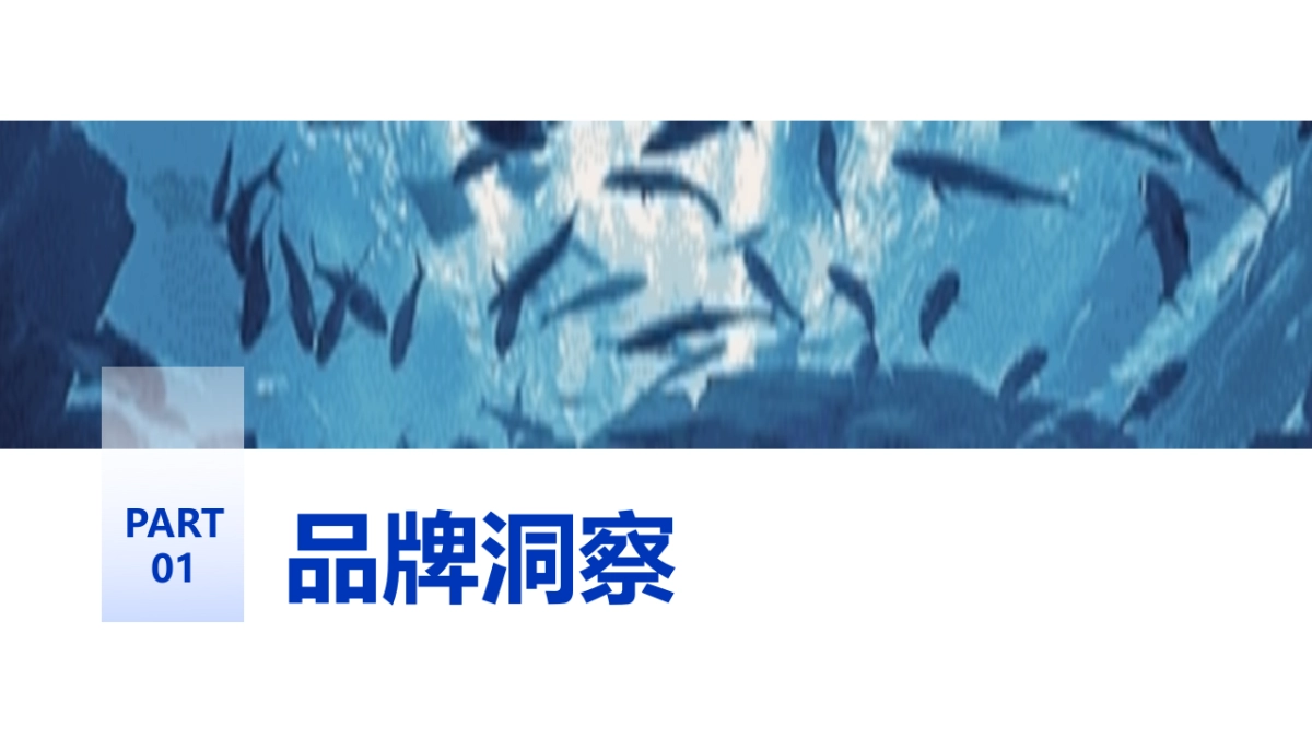 城市水族馆冰雪海洋世界抖音运营策划方案_第3页