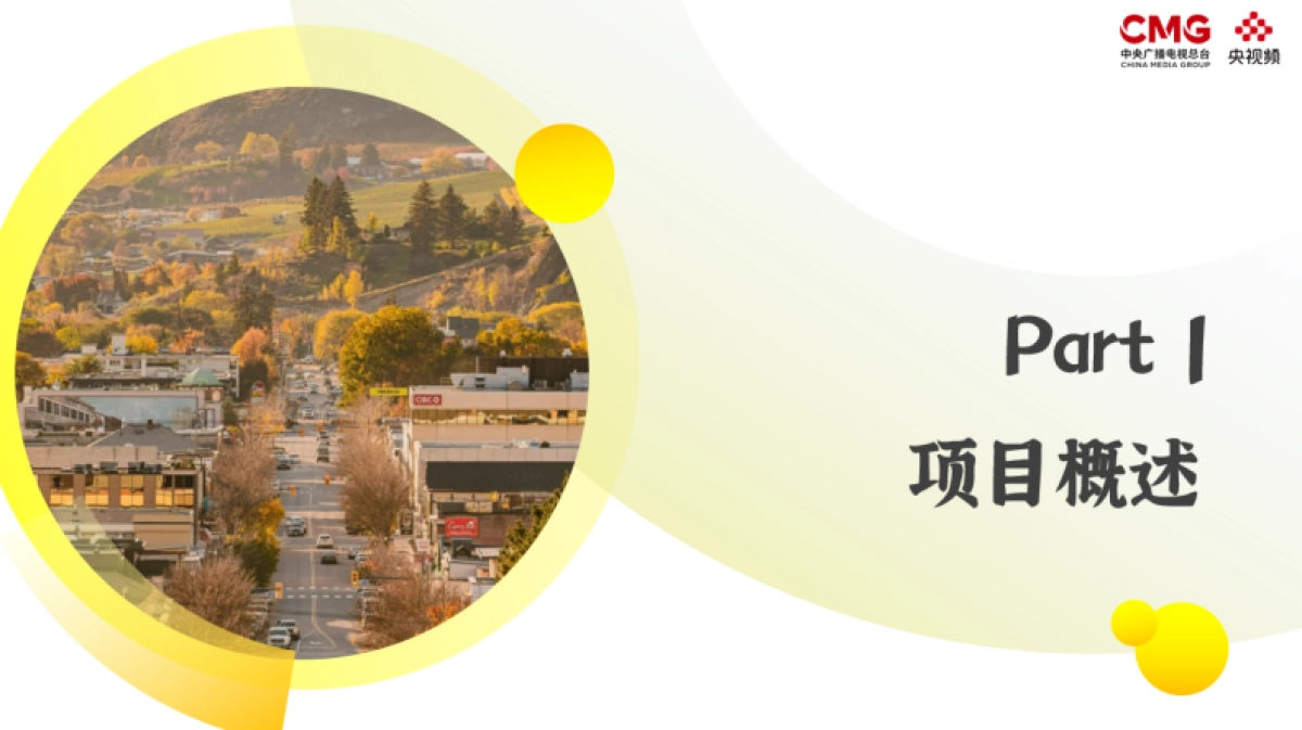 《来都来了》第二季策划方案_第2页