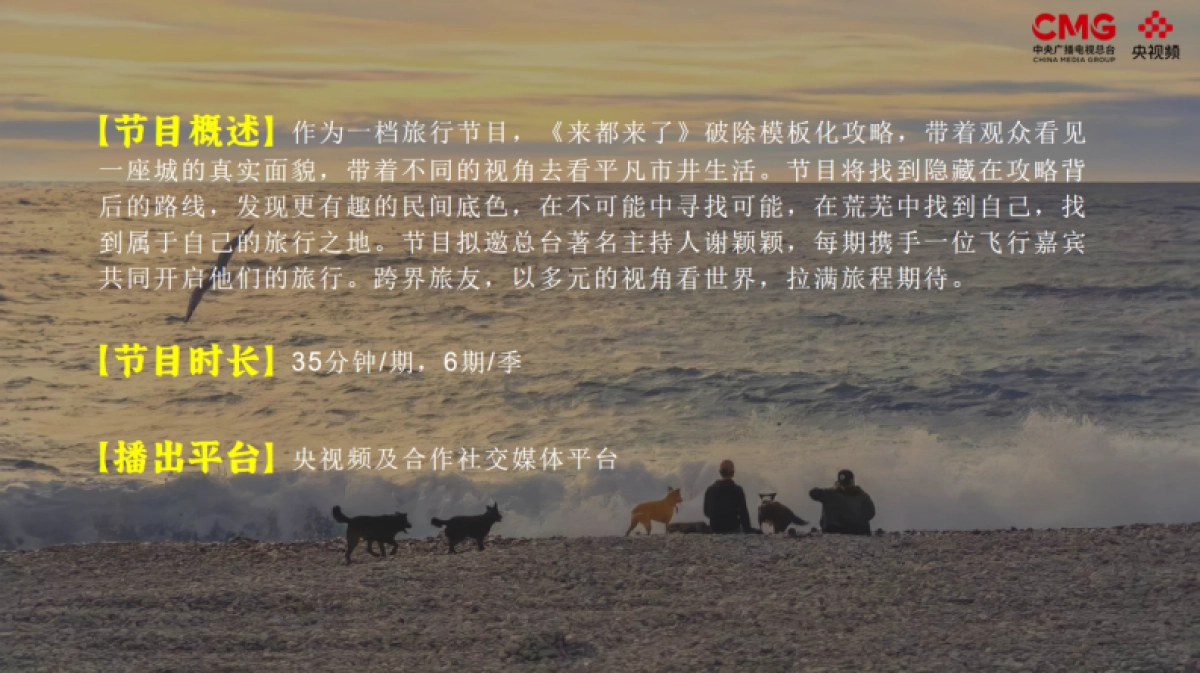 《来都来了》第二季策划方案_第3页