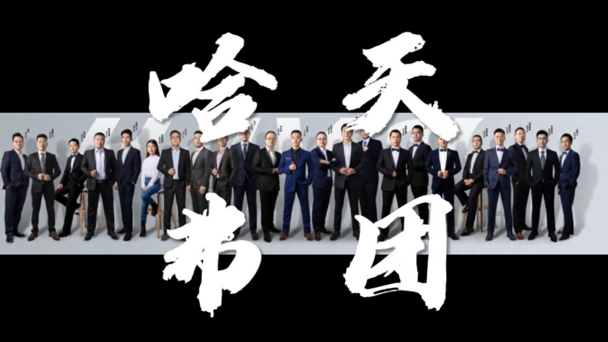 2022哈弗汽车品牌全案策略及营销推广方案-149页_第5页