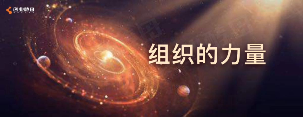 2023创业酵母-组织的力量_第1页
