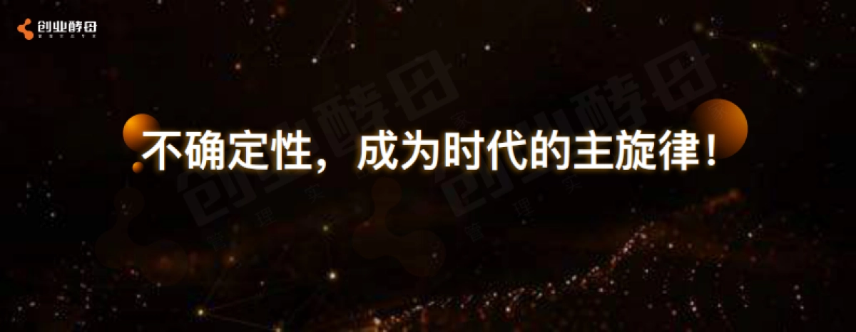 2023创业酵母-组织的力量_第5页