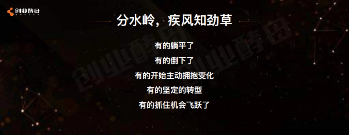 2023创业酵母-组织的力量_第7页