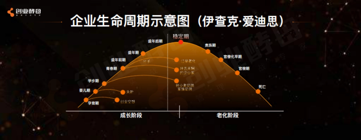 2023创业酵母-组织的力量_第9页