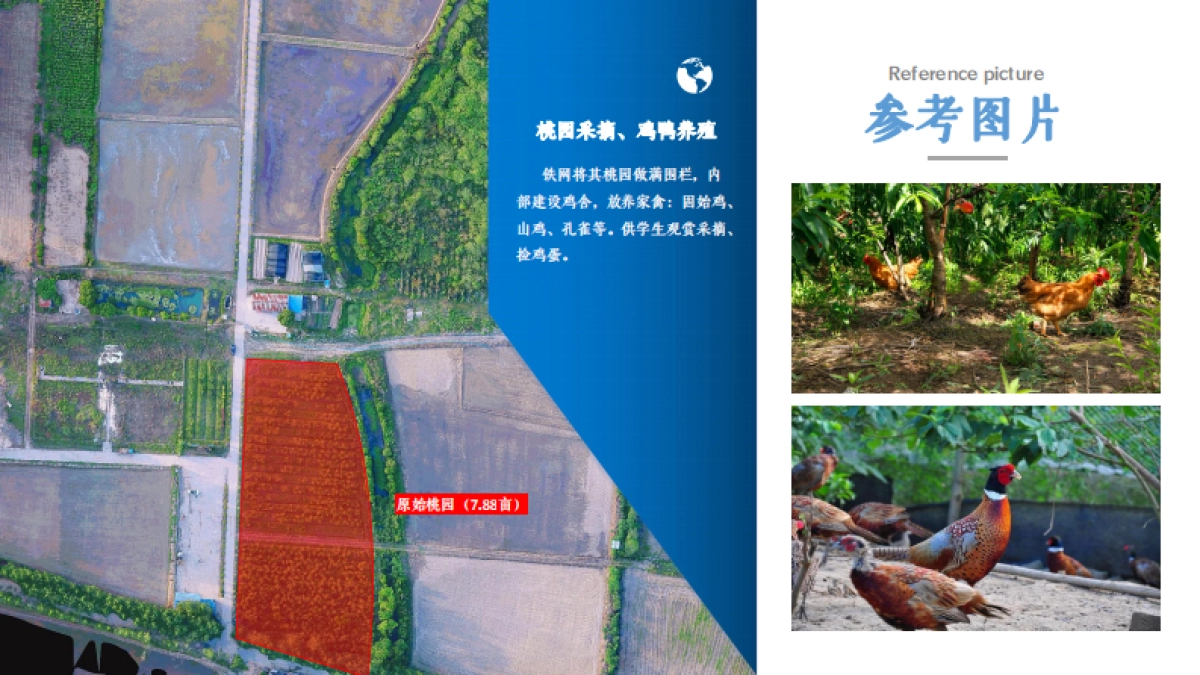 2023悦合欢乐农庄研学基地项目概念规划方案_第10页