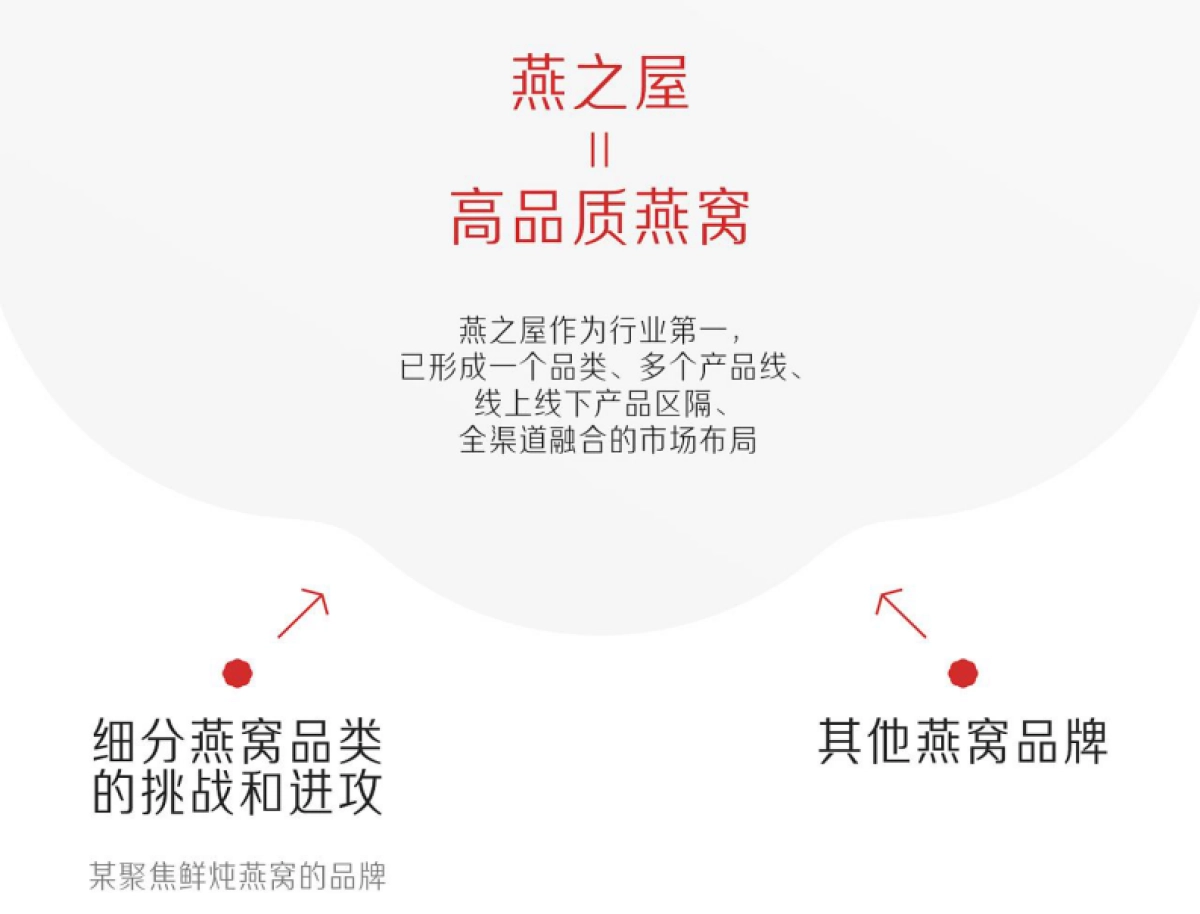 2024燕之屋燕窝滋补品年度战略咨询方案「品牌视觉 营销策划 品线策略 爆品策划 内容营销」_第8页