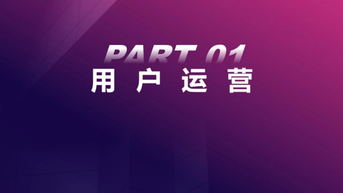 2023100套运营方法工具-112页_第4页