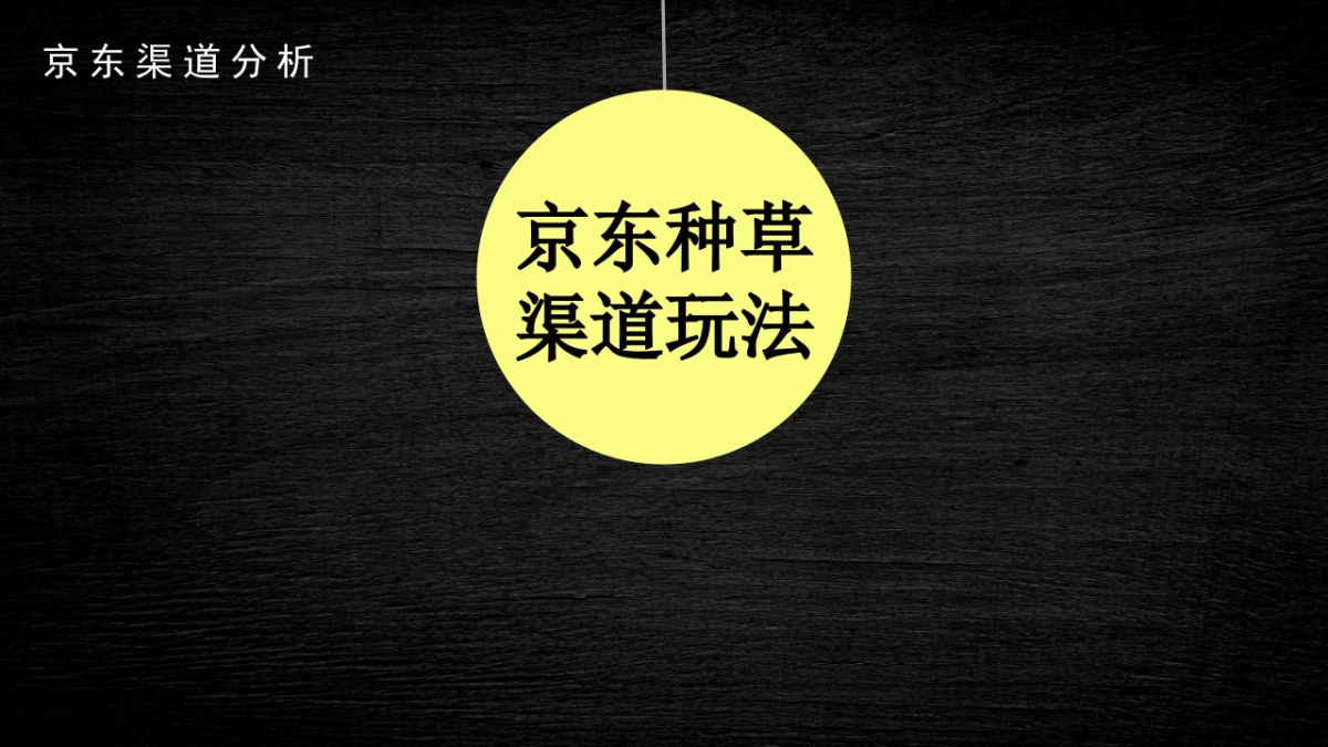 2023Miele淘宝、京东种草全案_第10页
