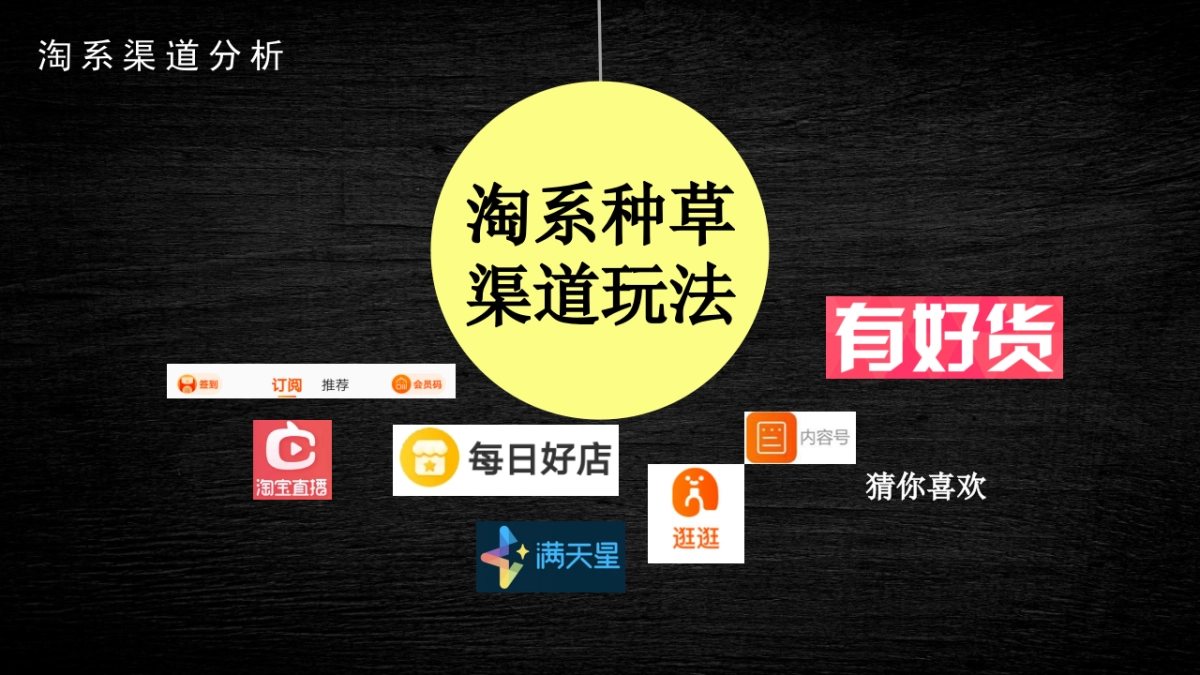 2023Miele淘宝、京东种草全案_第5页