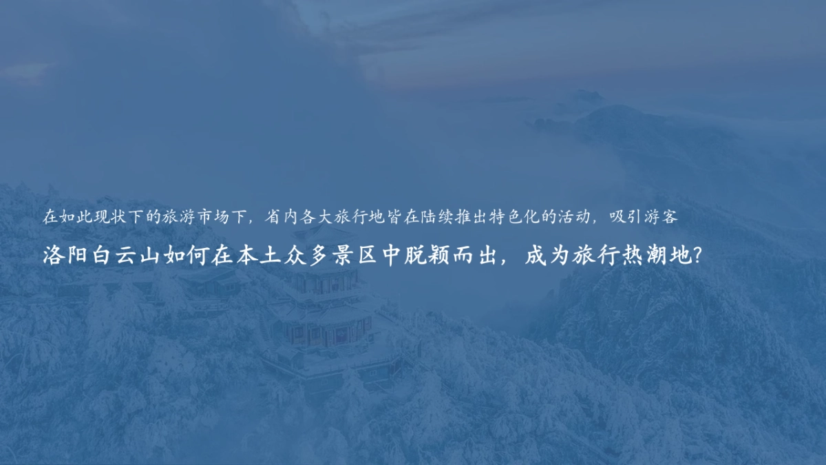 2024洛阳白云山营销活动_第4页