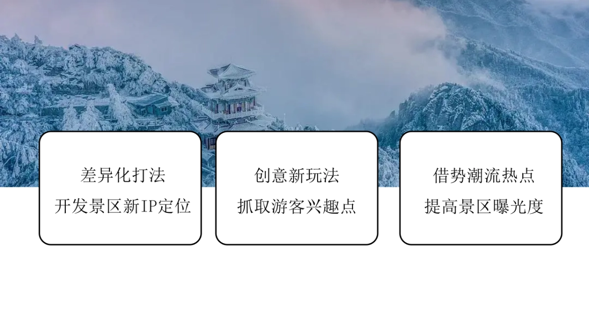 2024洛阳白云山营销活动_第5页