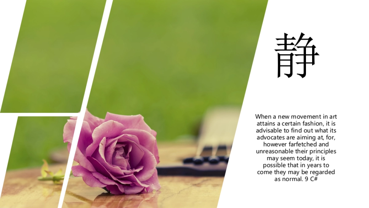 旅游相册 (5)_第4页