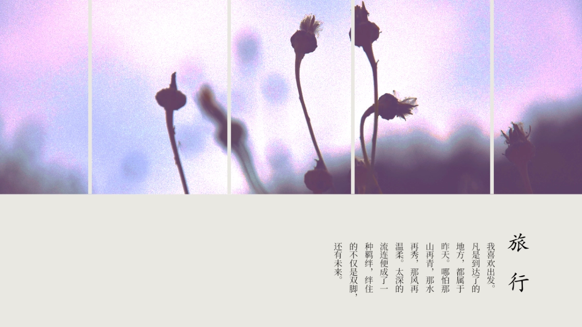 旅游相册 (10)_第6页