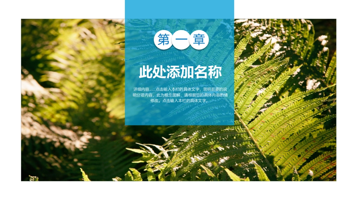 旅游相册 (15)_第3页