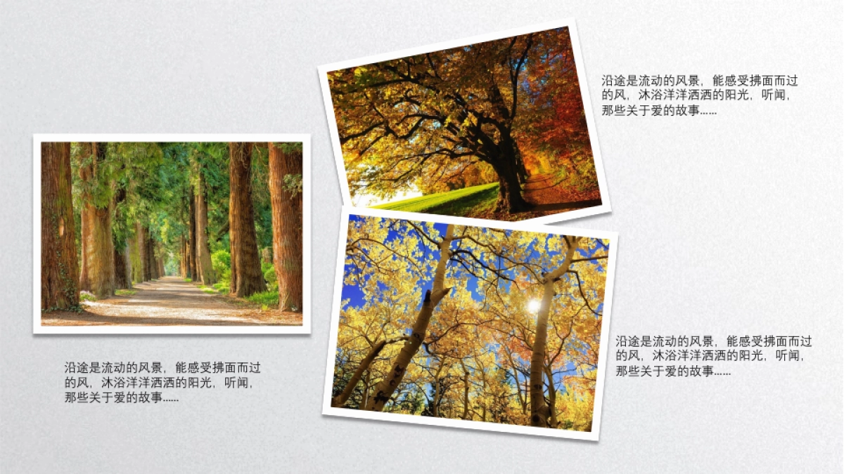 旅游相册 (19)_第3页