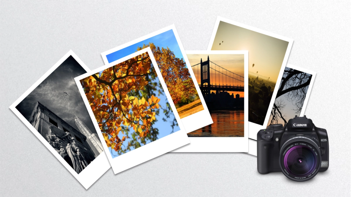 旅游相册 (19)_第5页