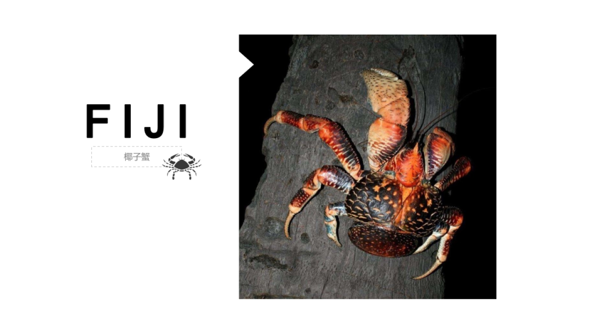 旅游相册 (20)_第9页