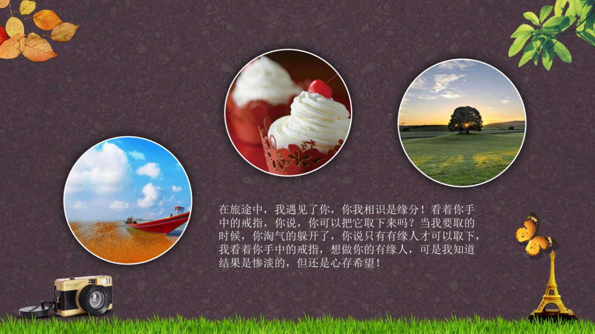 旅游相册 (24)_第3页