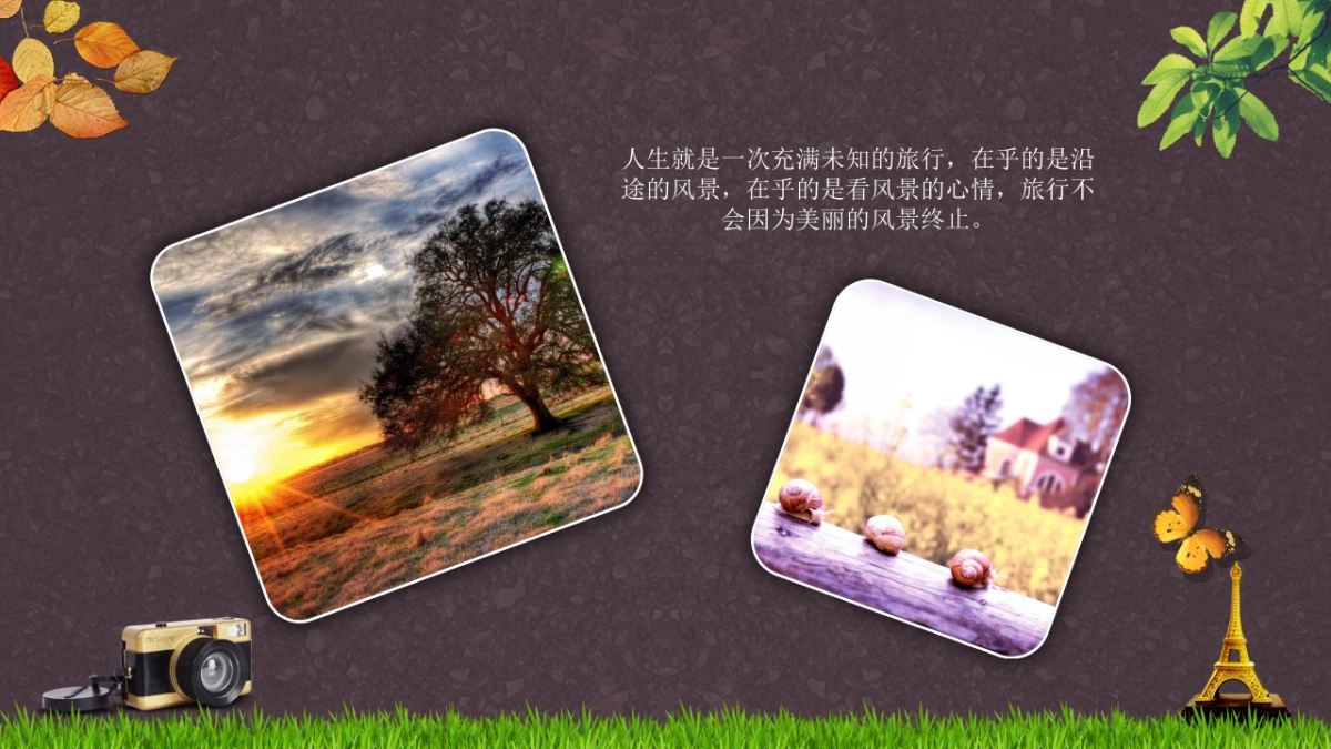 旅游相册 (24)_第8页