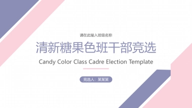 （33）学生会班干竞选