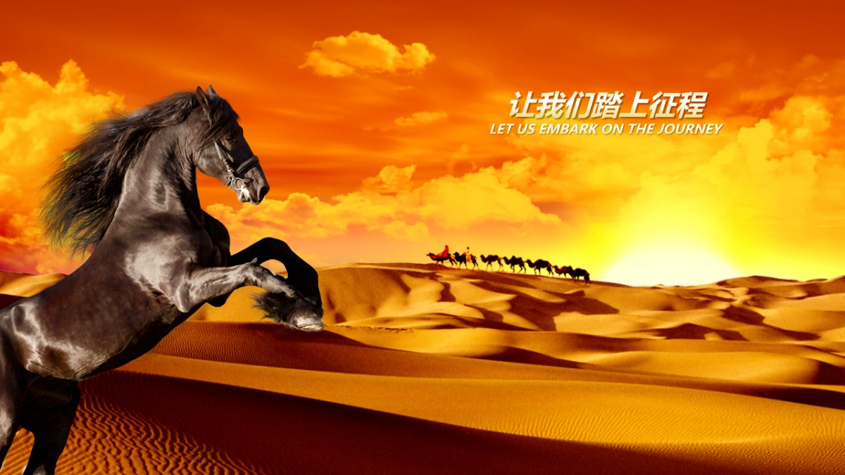 颁奖典礼-21_第5页