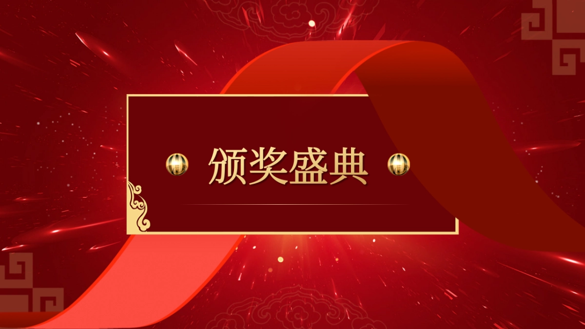 年会颁奖盛典晚会 (109)_第9页